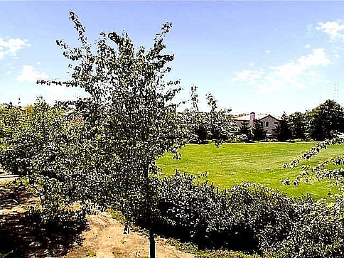 Property Photo 32527 - 